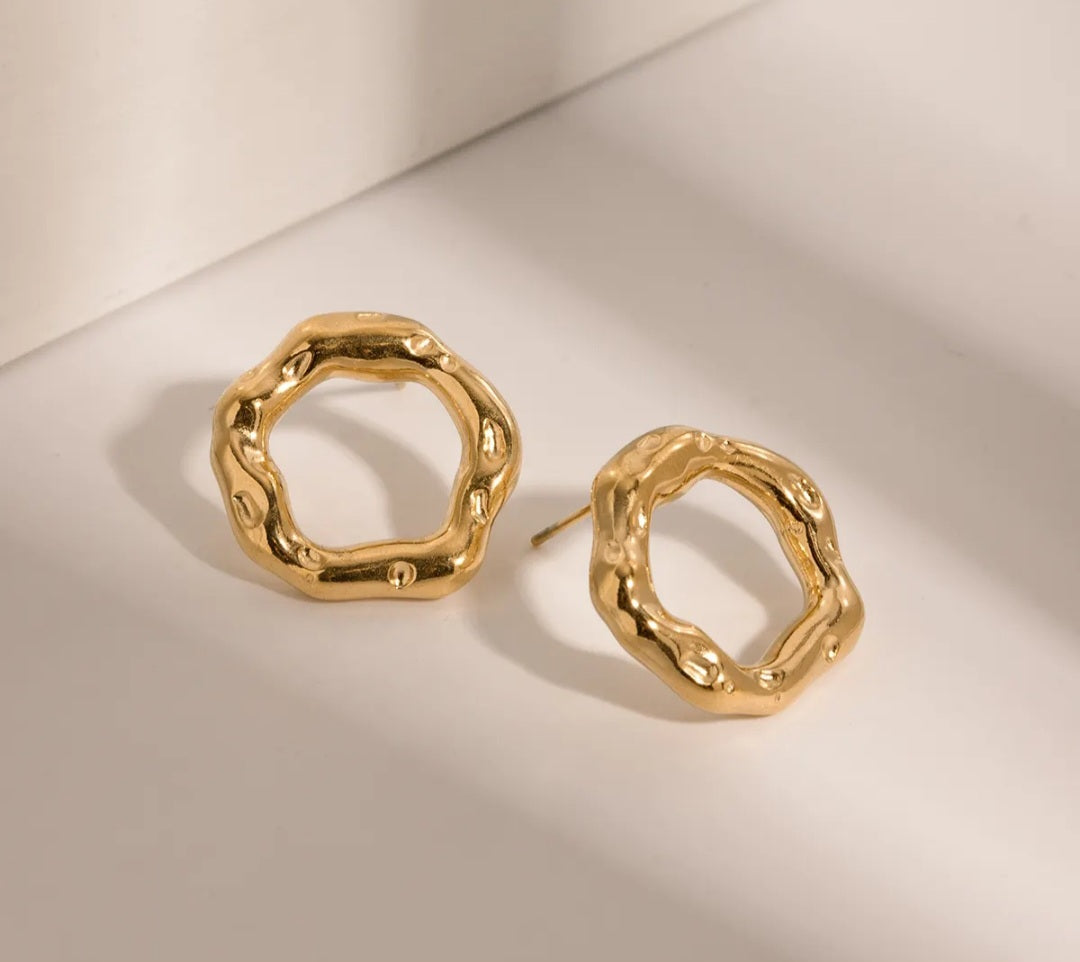 Fani circle earrings