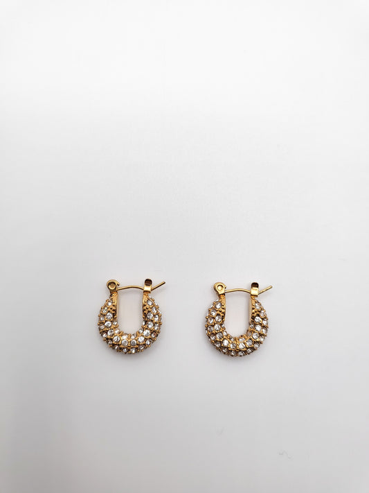 Miona shining earrings small